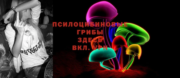 ГАЛЛЮЦИНОГЕННЫЕ ГРИБЫ Нефтегорск