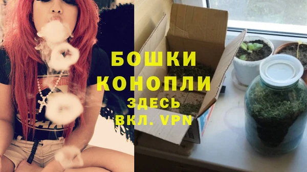 ГАЛЛЮЦИНОГЕННЫЕ ГРИБЫ Нефтегорск