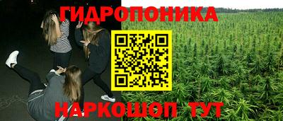 ECSTASY Бийск