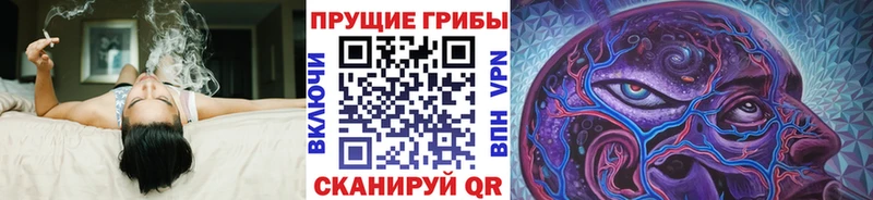 Галлюциногенные грибы Magic Shrooms  Грязи 