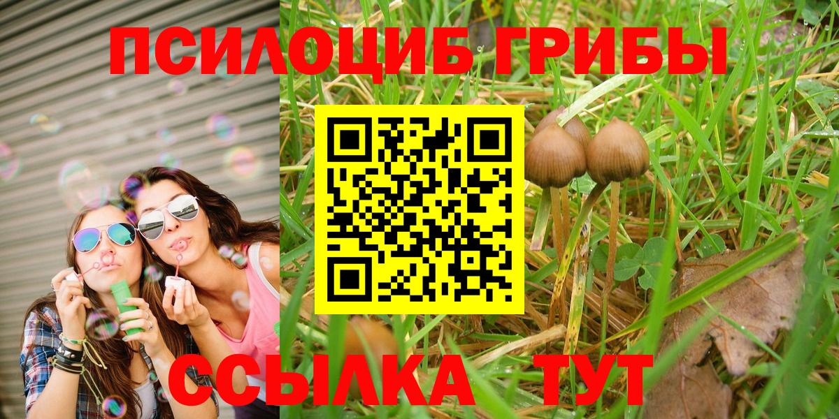 Галлюциногенные грибы мухоморы Грязи