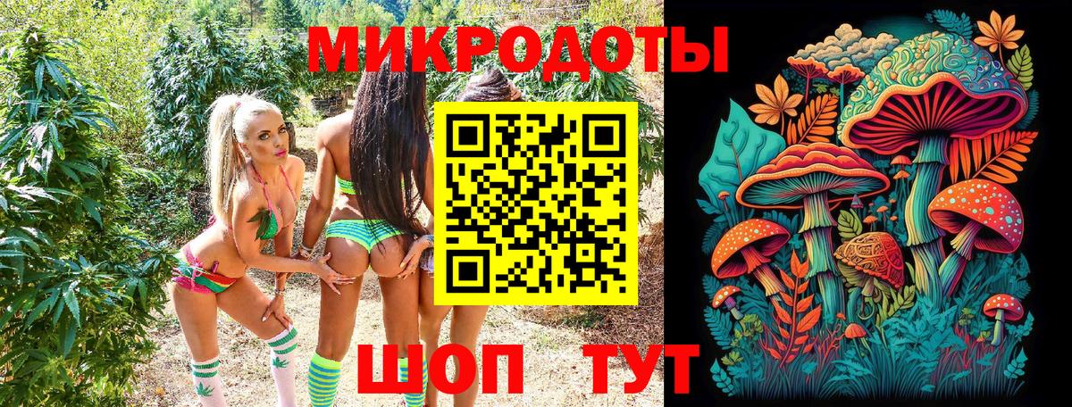 Псилоцибиновые грибы Cubensis  Псилоцибиновые грибы Cubensis  Грязи  Вход с VPN 