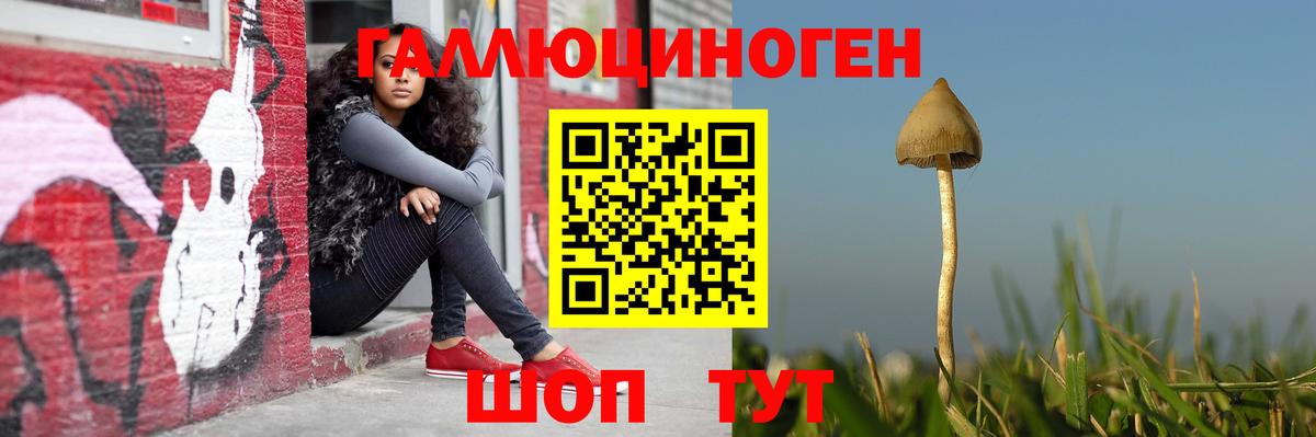 Галлюциногенные грибы Psilocybe  Грязи 